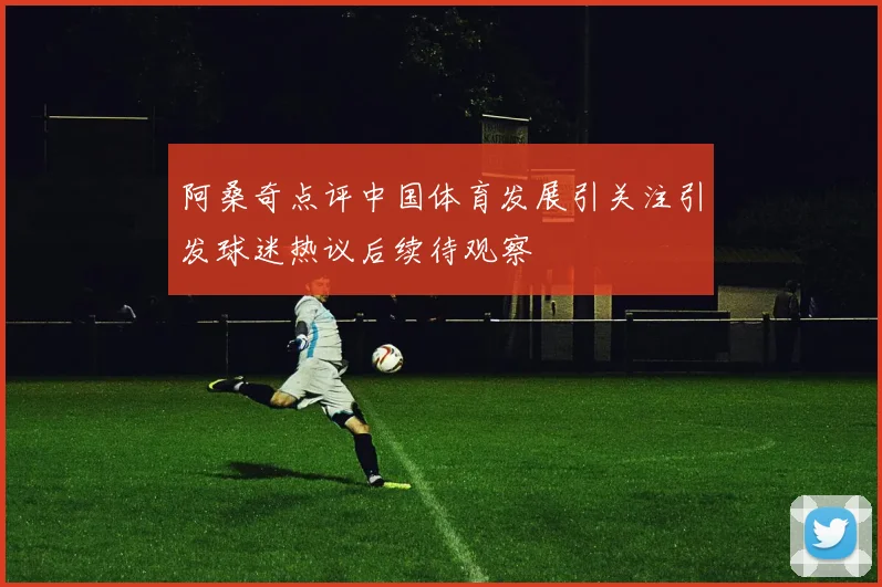 阿桑奇点评中国体育发展引关注引发球迷热议后续待观察