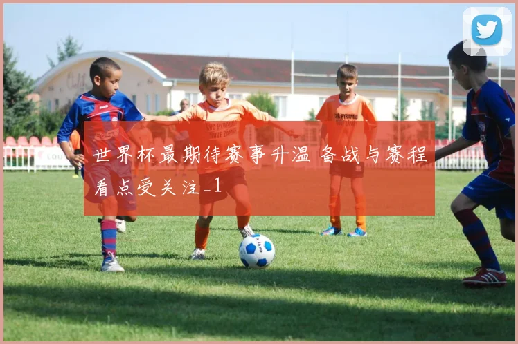 世界杯最期待赛事升温 备战与赛程看点受关注_1