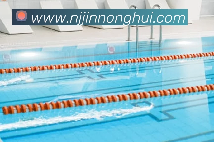 奥运冠军郑李辉分享体育生涯经历与夺冠心路历程